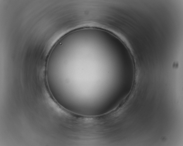 X0000114180903200910081456