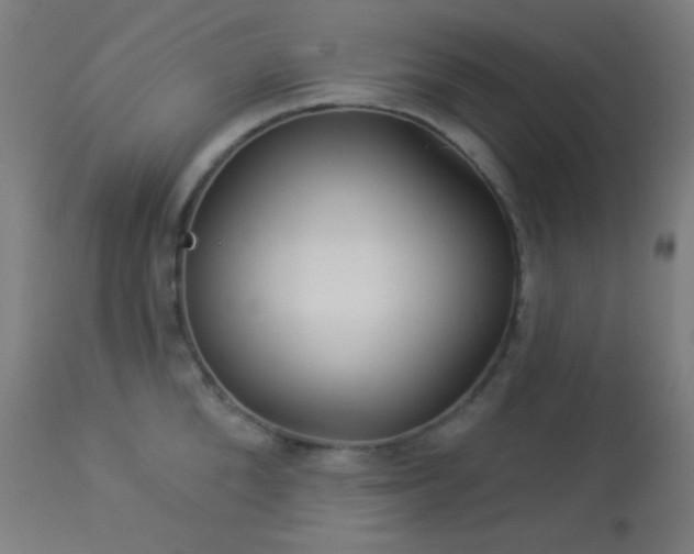 X0000114180904200910081456