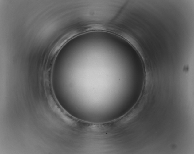 X0000114180906200910081456