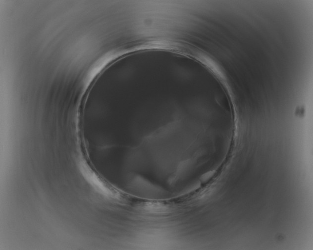 X0000114180907200910081456