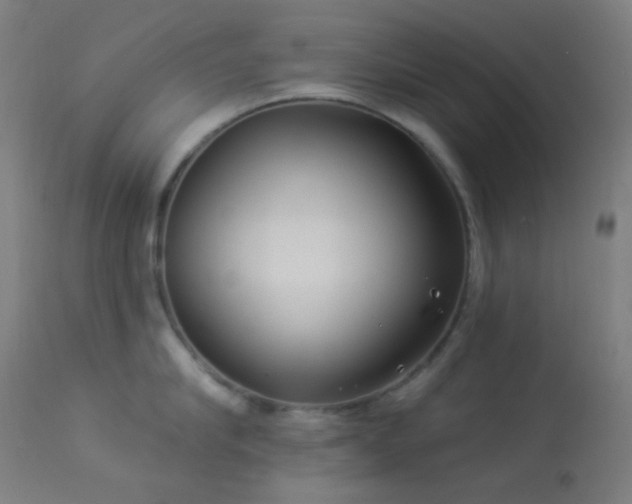 X0000114180910200910081456