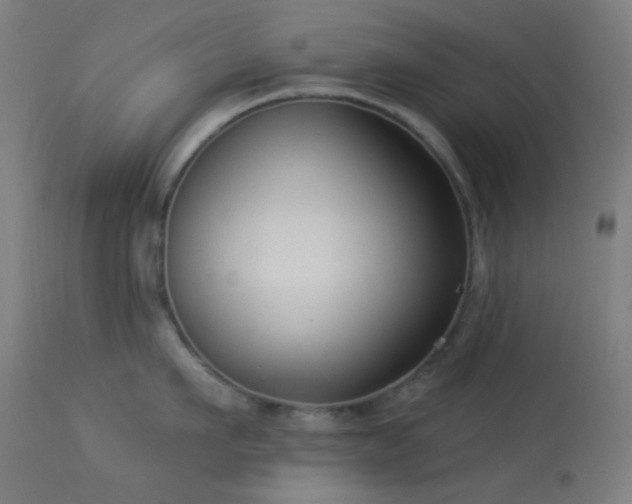 X0000114180911200910081456
