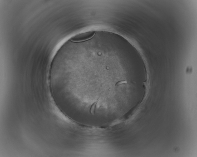 X0000114180912200910081456