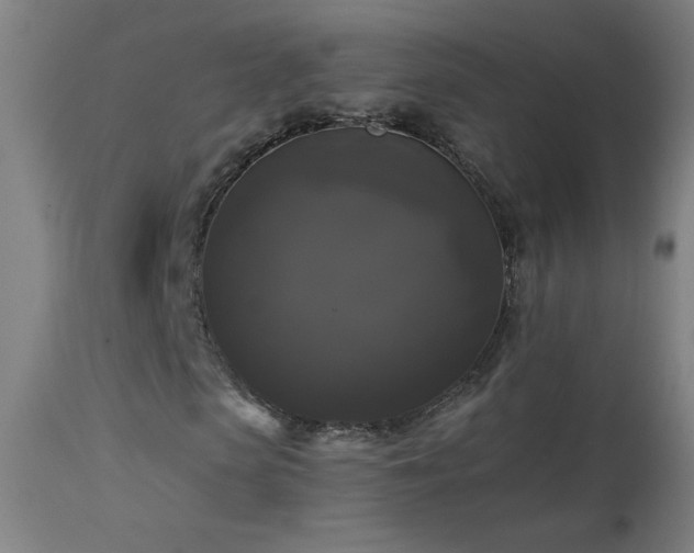 X0000114180913200910081455