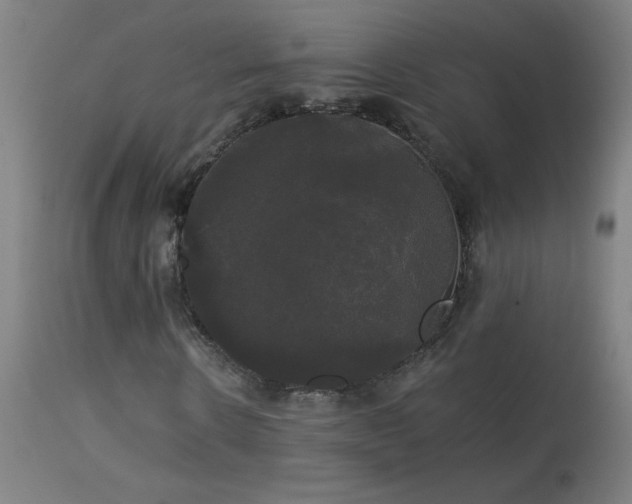 X0000114180914200910081455