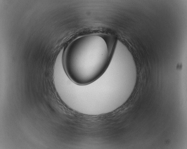 X0000114180916200910081455