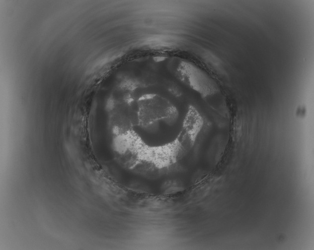 X0000114180917200910081455