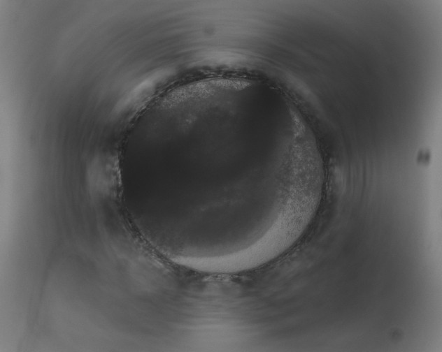 X0000114180918200910081455