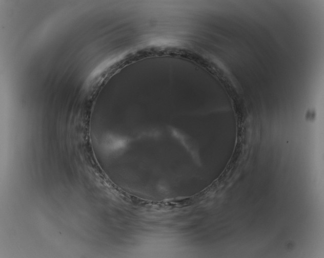 X0000114180919200910081456