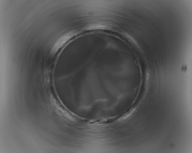 X0000114180921200910081456
