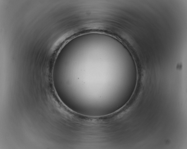 X0000114180922200910081456