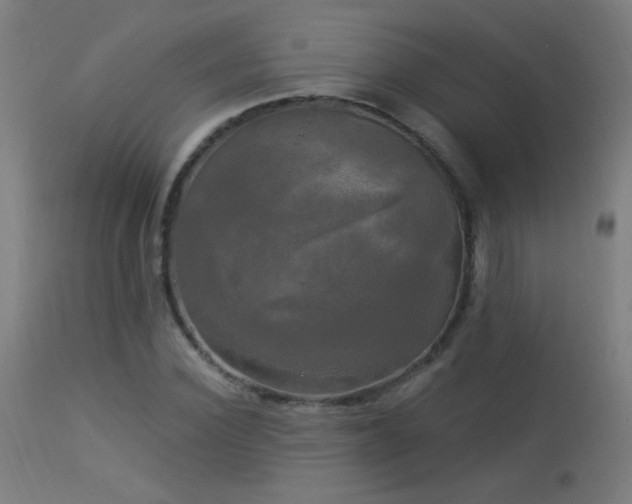 X0000114180924200910081456