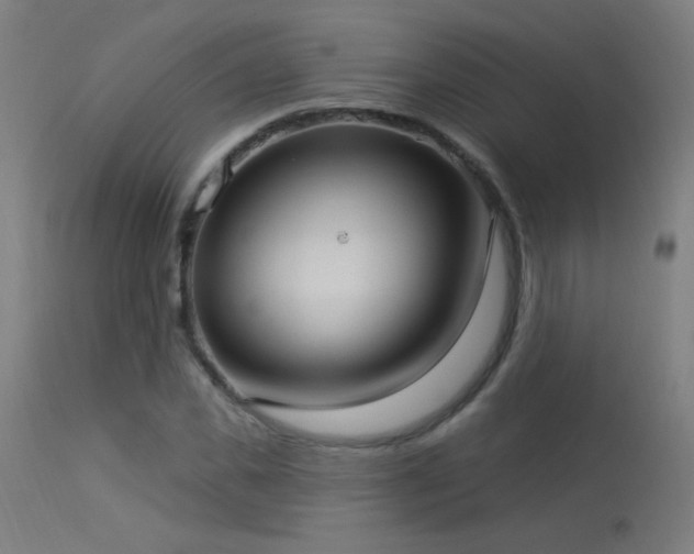 X0000114180925200910081456