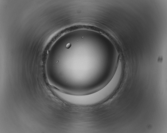 X0000114180926200910081456