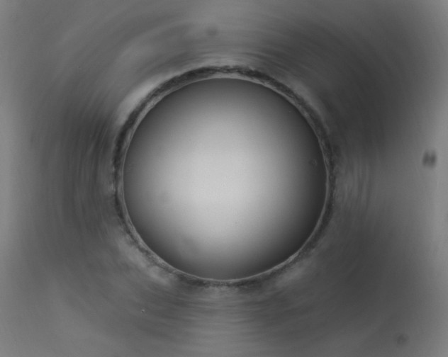 X0000114180927200910081456