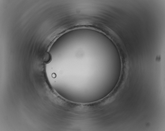 X0000114180929200910081456