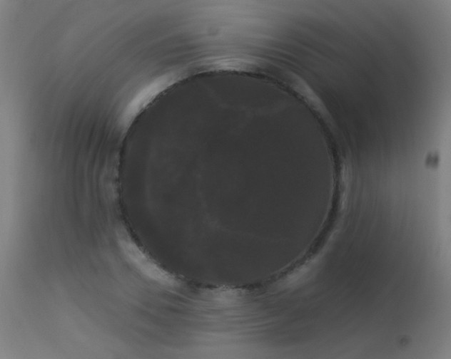 X0000114180930200910081456