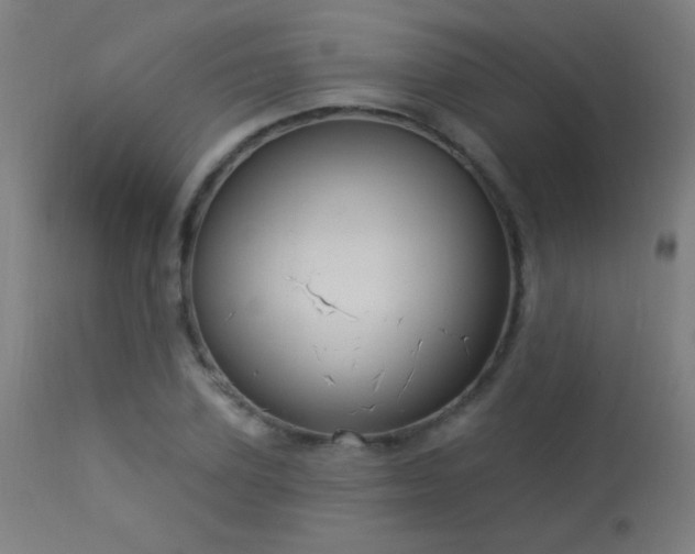 X0000114180931200910081456