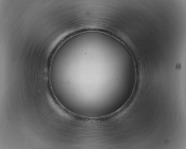 X0000114180934200910081456