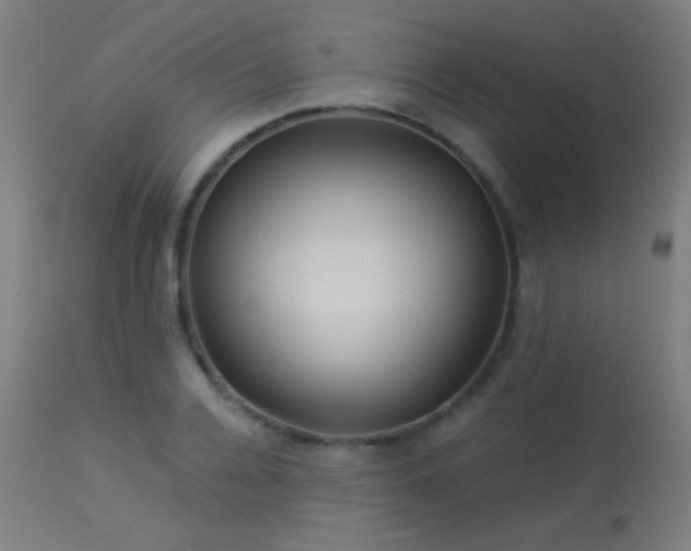 X0000114180936200910081456
