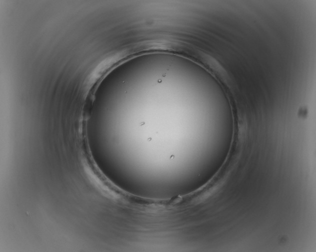 X0000114180938200910081456