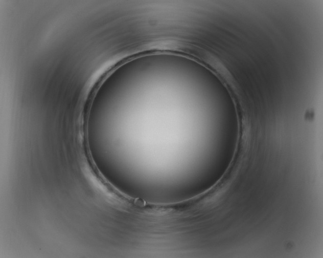 X0000114180939200910081456