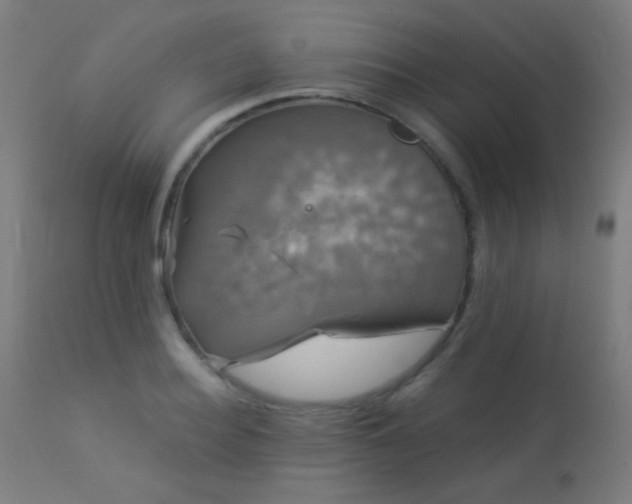 X0000114180940200910081456