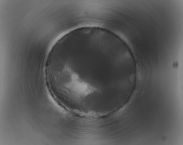 X0000114180943200910081456
