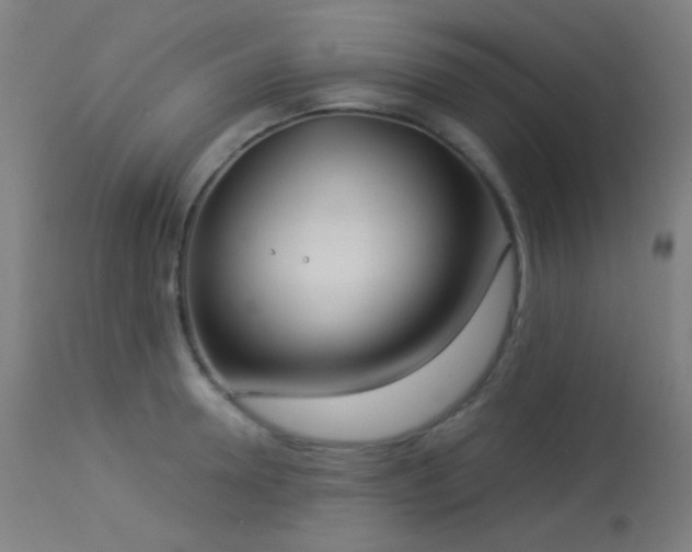 X0000114180946200910081456