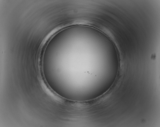 X0000114180947200910081456