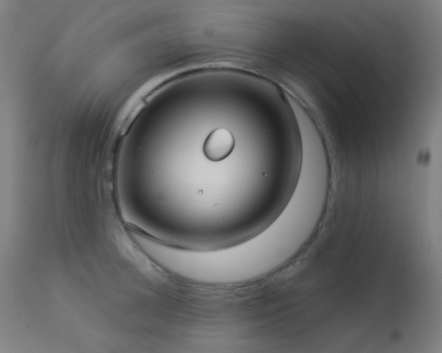 X0000114180948200910081456