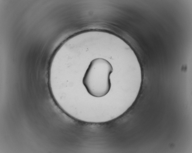 X0000114180950200910081456