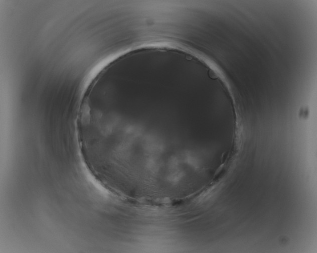 X0000114180951200910081456