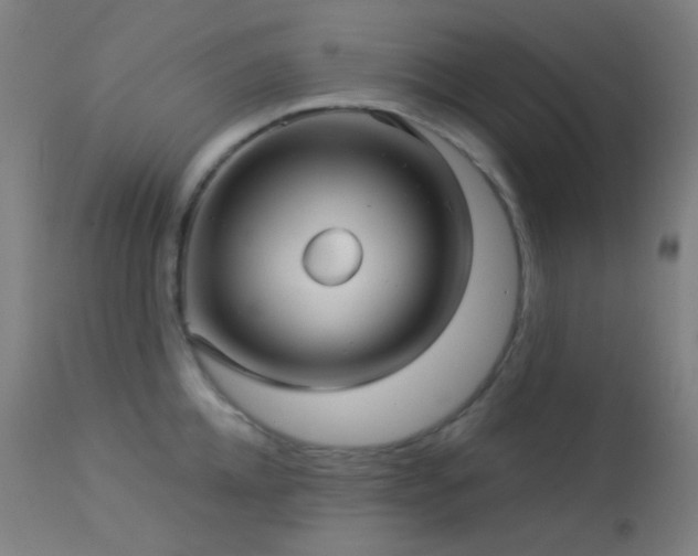 X0000114180952200910081456