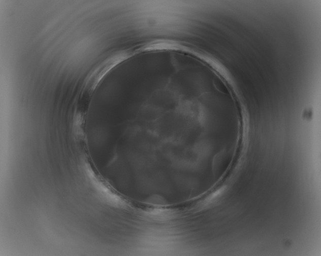 X0000114180953200910081456