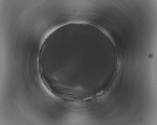 X0000114180959200910081456