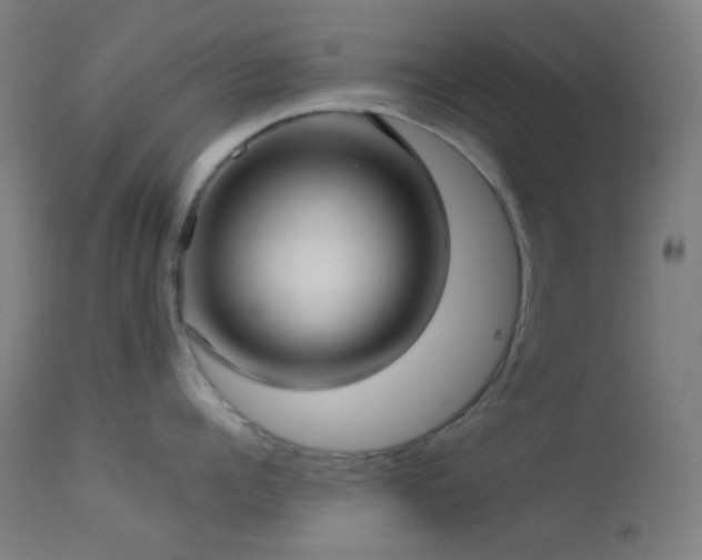 X0000114180960200910081456