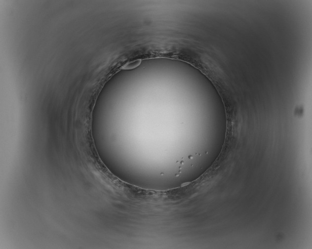 X0000114180961200910081455