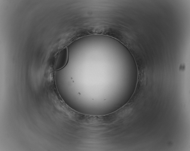 X0000114180962200910081455