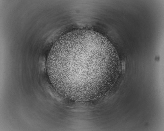 X0000114180963200910081455