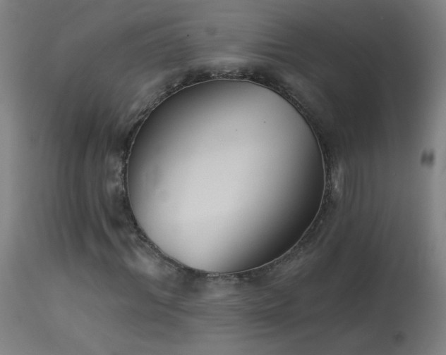 X0000114180964200910081455
