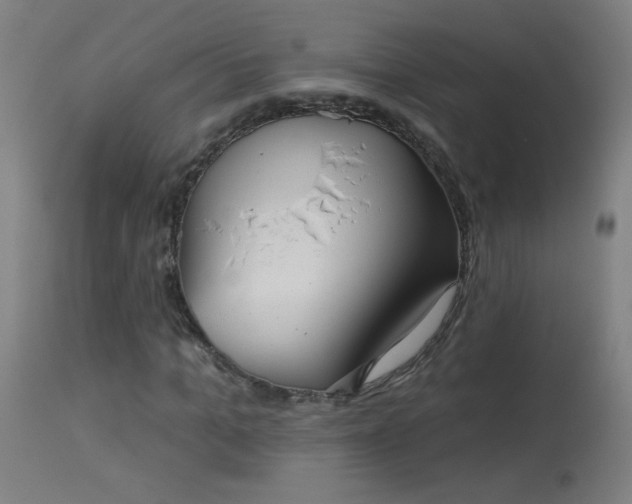 X0000114180965200910081455