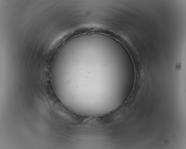 X0000114180967200910081455