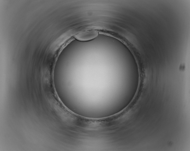 X0000114180969200910081455
