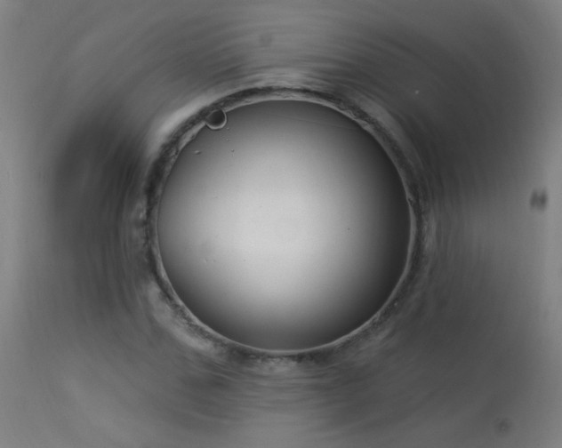 X0000114180971200910081455