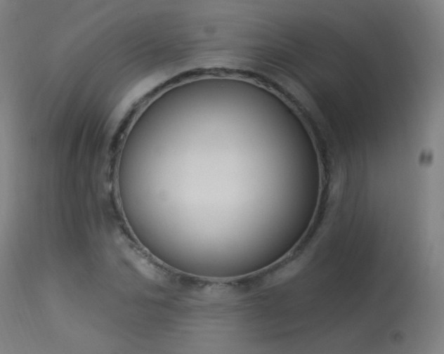 X0000114180974200910081455