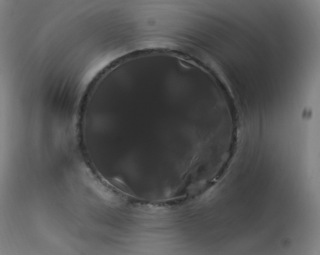X0000114180975200910081455