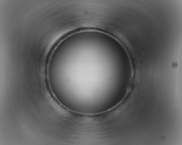 X0000114180976200910081455