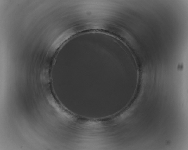 X0000114180977200910081455