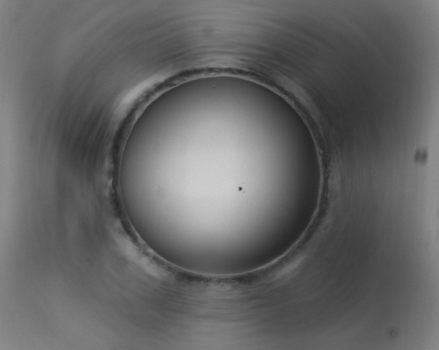X0000114180979200910081455